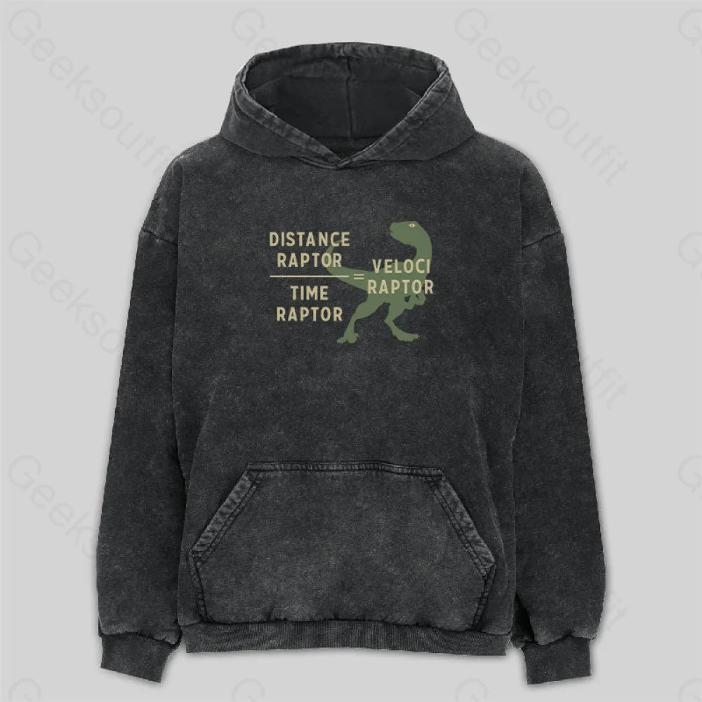 Equations Of Motion Science Velociraptor Washed Hoodie Scandinavian