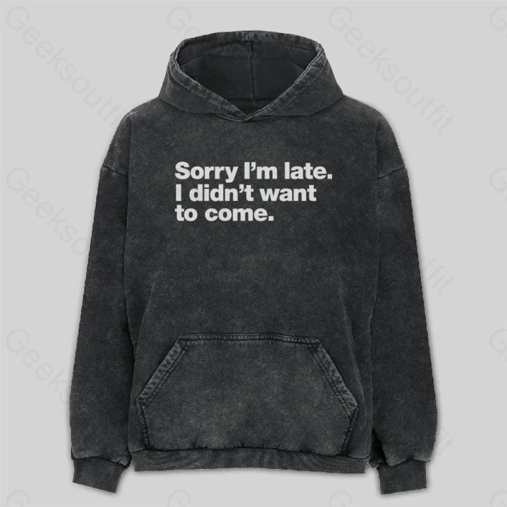 I Didn't Want to Come Washed Hoodie Vacation